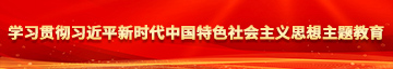 干骚逼逼学习贯彻习近平新时代中国特色社会主义思想主题教育